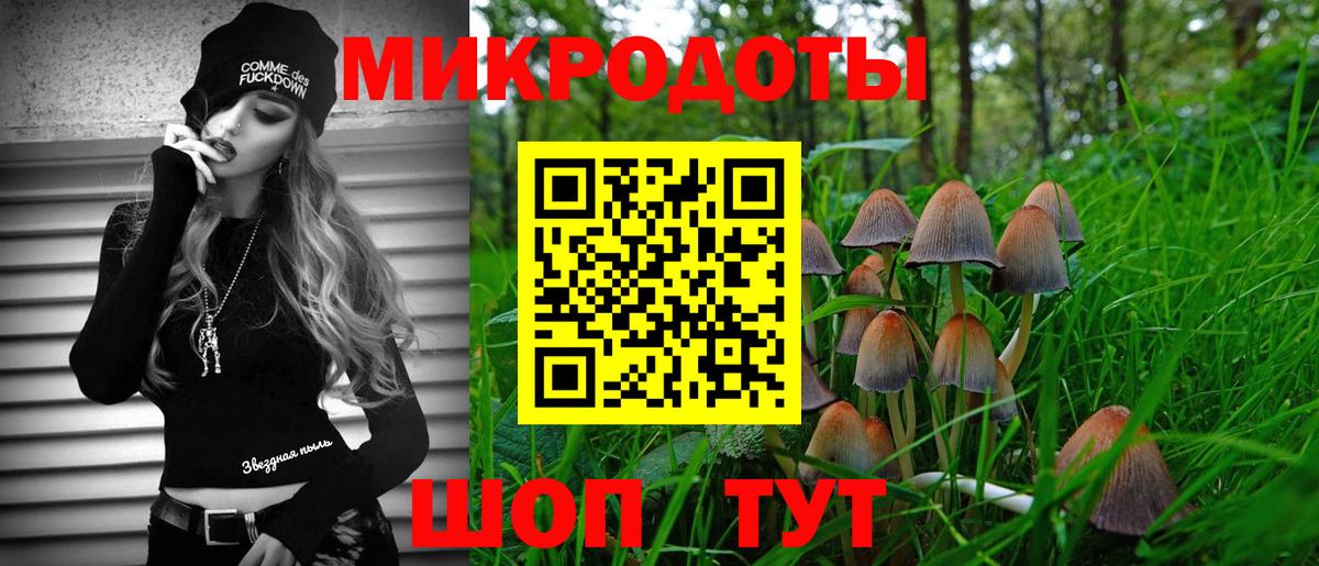 Галлюциногенные грибы прущие грибы  Вход с VPN  Галлюциногенные грибы Psilocybe  Челябинск 